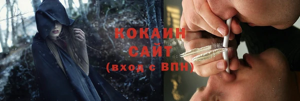 шишки Баксан