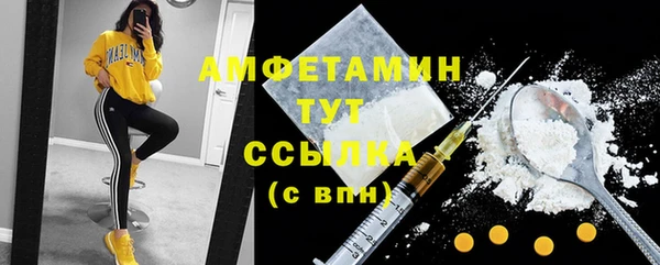 шишки Баксан