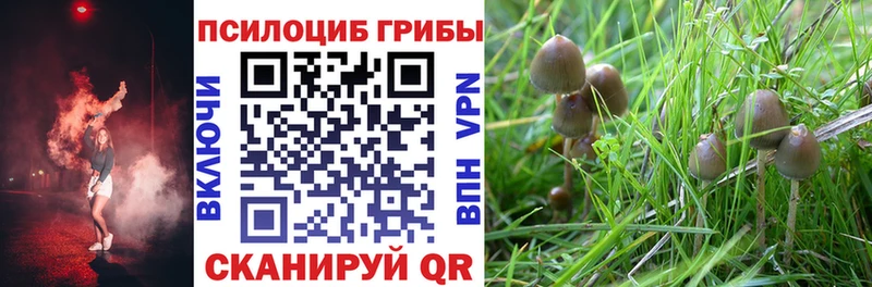 продажа наркотиков Балабаново Псилоцибиновые грибы Magic Shrooms